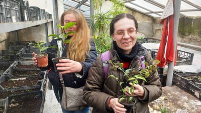 Клуб «Екологія та енергетика».