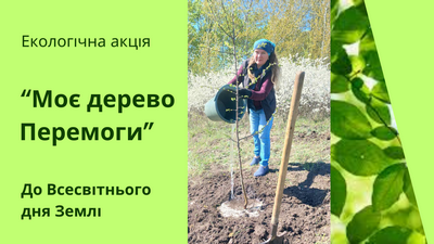 Моє дерево Перемоги