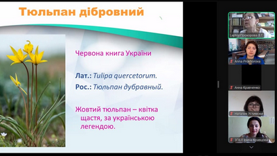 Майстер-клас «Зникаюча краса: червонокнижні рослини України»
