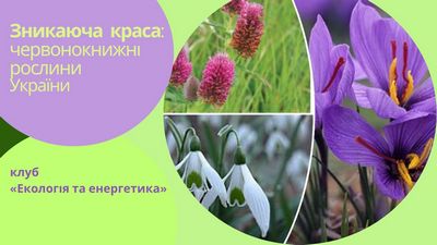 Зникаюча краса: червонокнижні рослини України