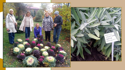 Світ зцілюючих рослин