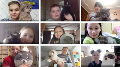 Родинна зустріч «Кіт і місто: історії про життя та допомогу»